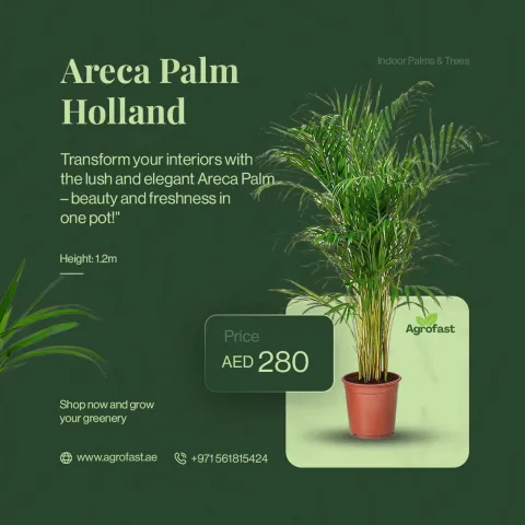 Plan Post Design 03